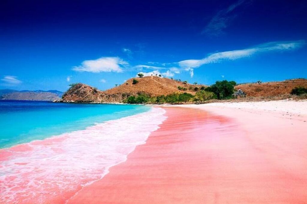 Pesona Alam yang Langka dan Memukau Wisata Pantai Pink