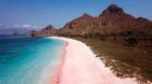 Pantai Pink Pulau Komodo Keindahan yang Langka di Indonesia