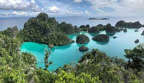 Mengenal Raja Ampat Surga Bawah Laut di Timur Indonesia